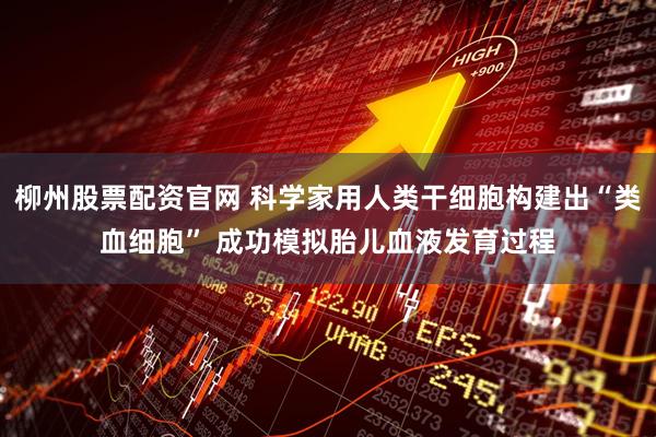 柳州股票配资官网 科学家用人类干细胞构建出“类血细胞” 成功模拟胎儿血液发育过程