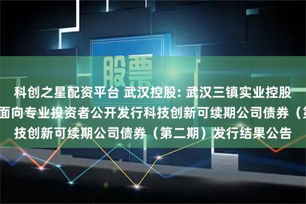 科创之星配资平台 武汉控股: 武汉三镇实业控股股份有限公司2025年面向专业投资者公开发行科技创新可续期公司债券（第二期）发行结果公告