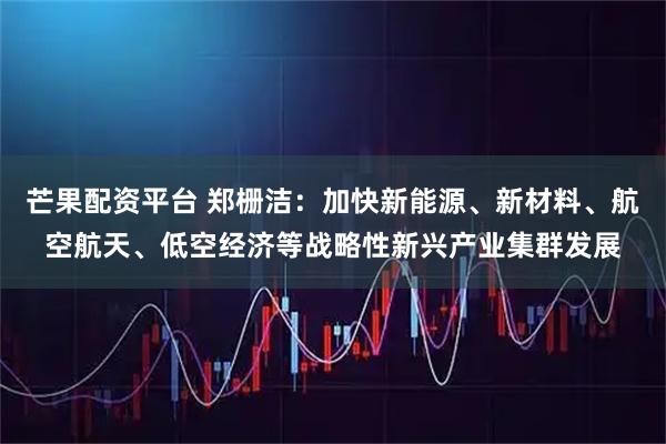 芒果配资平台 郑栅洁：加快新能源、新材料、航空航天、低空经济等战略性新兴产业集群发展